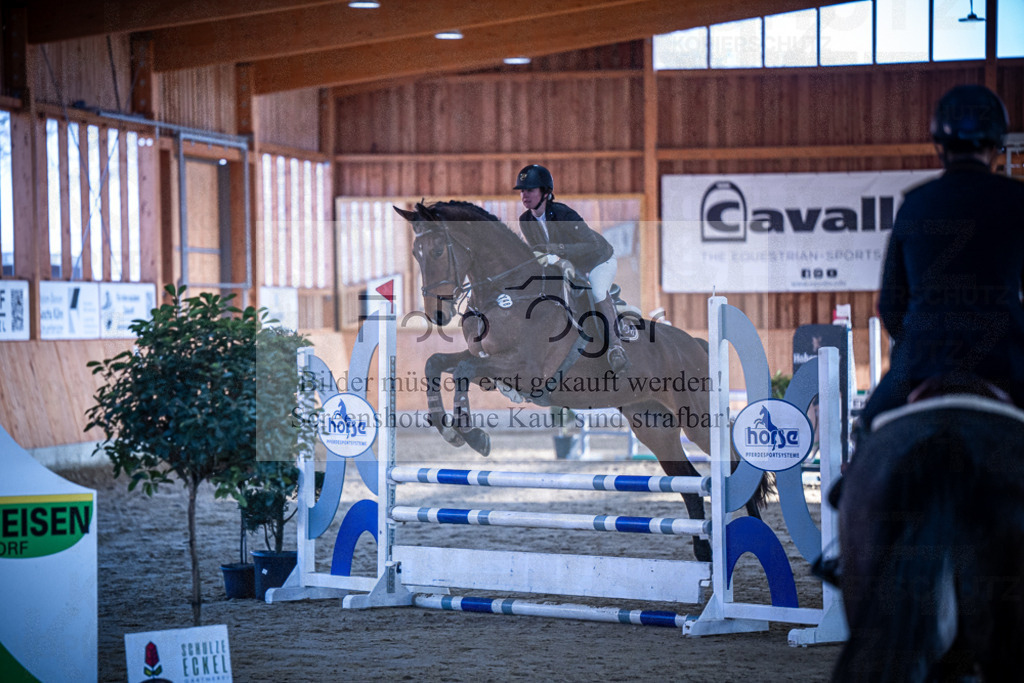 DOS_0238 | Entdecke hochwertige Reitturnierfotos von Foto Oger. Professionell, emotional und authentisch – jetzt Lieblingsmomente im Shop bestellen.Deutschlandweite Turnierfotografie. - Realisiert mit Pictrs.com