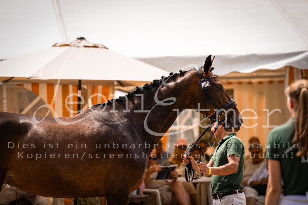 2. Fr00126 | Leoni Ertmer Photography - Realisiert mit Pictrs.com