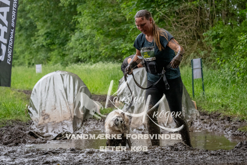 1558_ZZ91538-Bearbeitet | kk-dogfotos