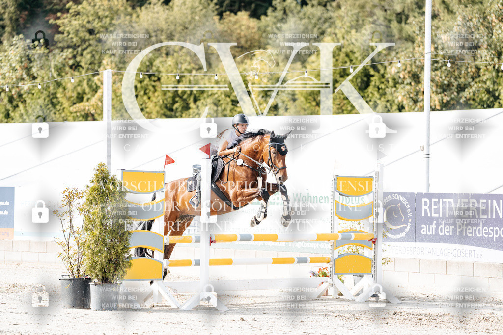 CK905879 | Turnierfotografie Pferdefotografie Trier Rheinland-Pfalz Pferdesport Reitsport Tierfotografie Sportfotografie Pferdevideo Pferdevideografie Equestrianvideography equestrianphotography  - Realisiert mit Pictrs.com