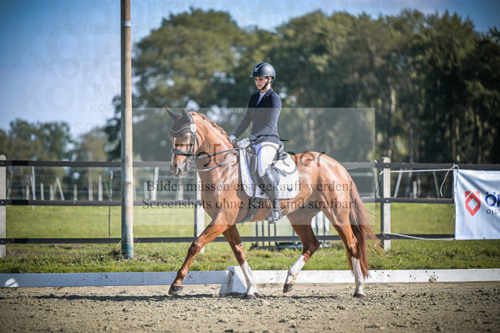 DOS_2574 | Entdecke hochwertige Reitturnierfotos von Foto Oger. Professionell, emotional und authentisch – jetzt Lieblingsmomente im Shop bestellen.Deutschlandweite Turnierfotografie. - Realisiert mit Pictrs.com