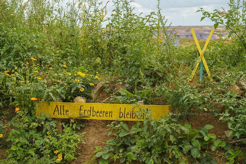 Luetzerath_23 | CEUS Design - Realisiert mit Pictrs.com