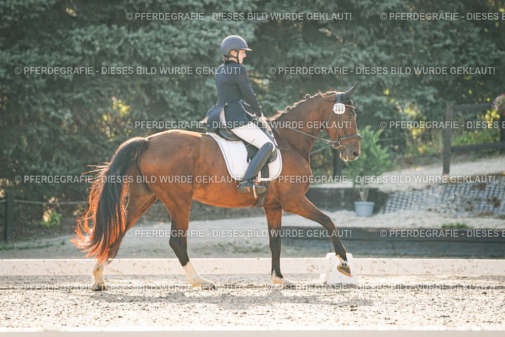 DSC07929 | Pferdegrafie