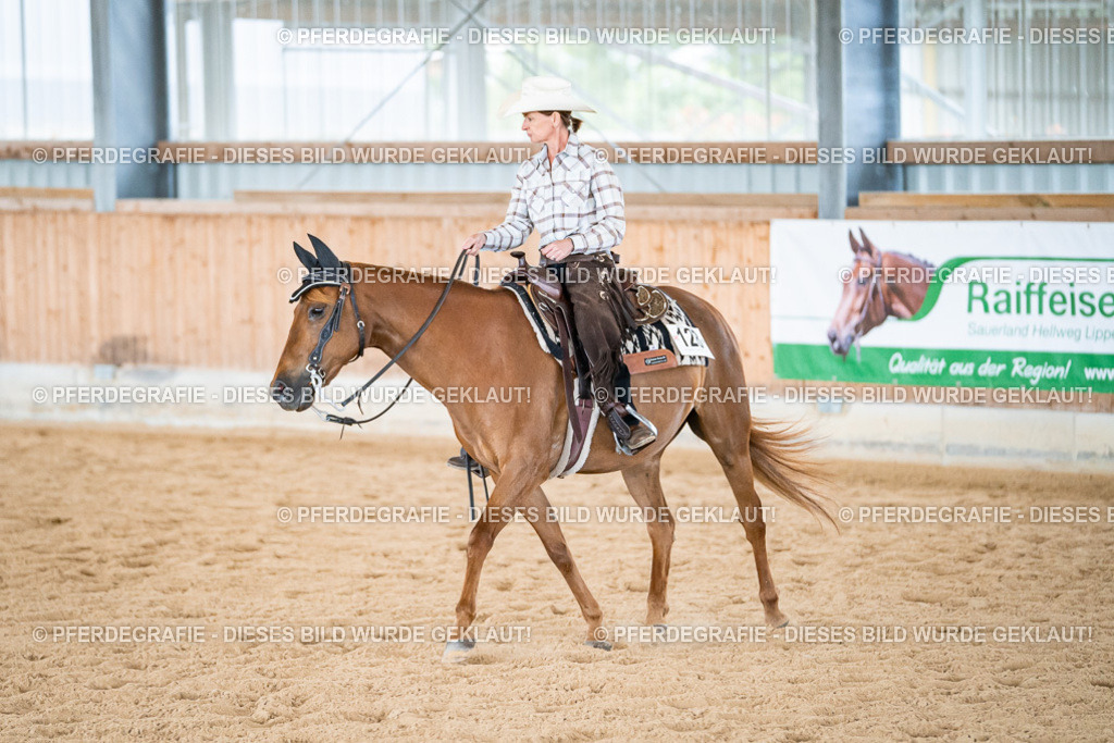 DSC03730 | Pferdegrafie