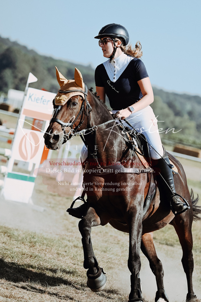 DSC_9645 | Pferde- und Turnierfotografie in Westsachsen. Pferdeportraits, Auftragszeichnungen und intuitive Kunst.