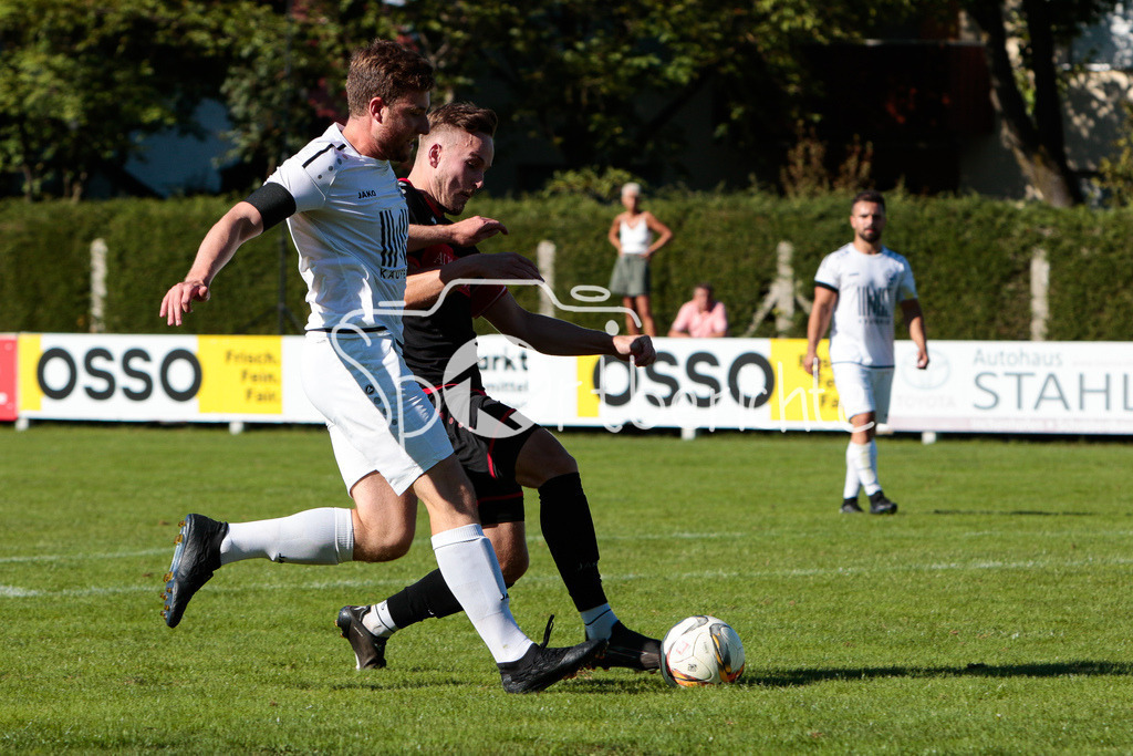 BC Aichach - TSV Dasing | BCA #14 / #tsv #2