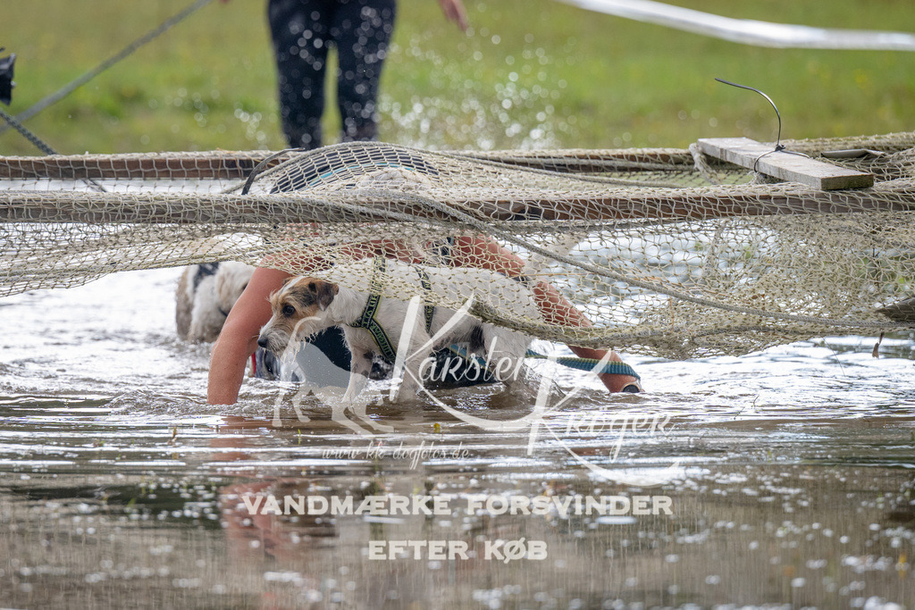 1402_ZZ90852 | kk-dogfotos