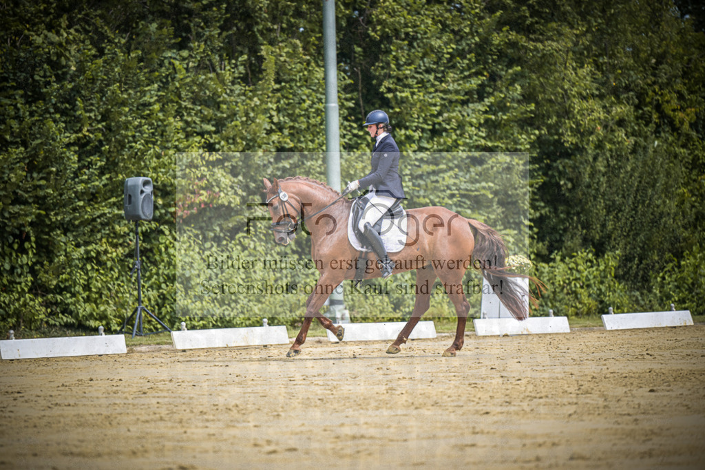 DOS_1061 | Entdecke hochwertige Reitturnierfotos von Foto Oger. Professionell, emotional und authentisch – jetzt Lieblingsmomente im Shop bestellen.Deutschlandweite Turnierfotografie. - Realisiert mit Pictrs.com