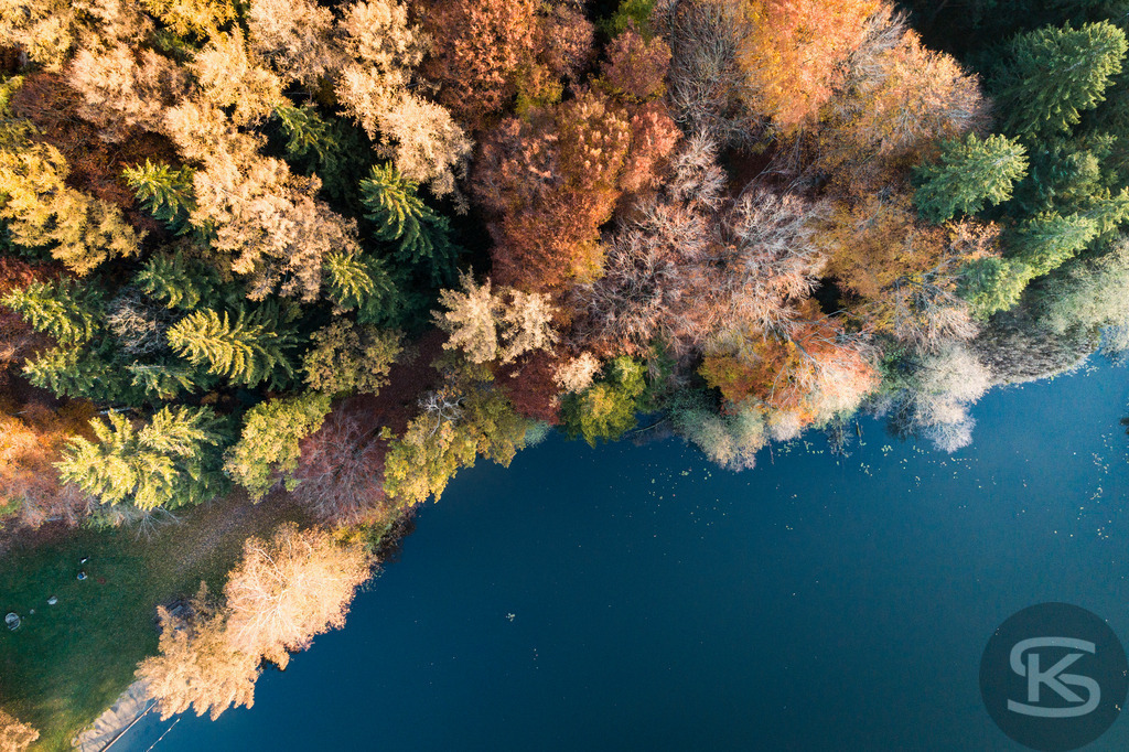 Allgäu-See-Landschaft aus der Luft mit dichtem Mischwald im Herbst | Atemberaubende Allgäu-See-Landschaft aus der Luft mit farbenprächtigem Mischwald im Herbst – idyllische Natur, klare Gewässer und leuchtende Herbstfarben für beeindruckende Drohnenaufnahme - Realisiert mit Pictrs.com