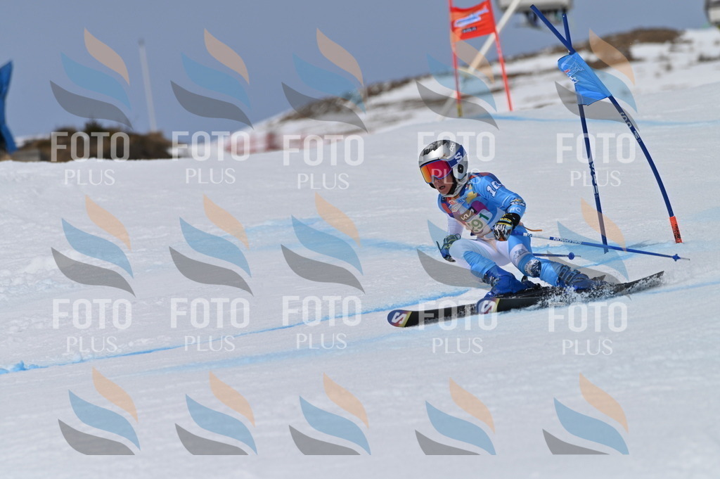 BGV_5815 | holidayphoto