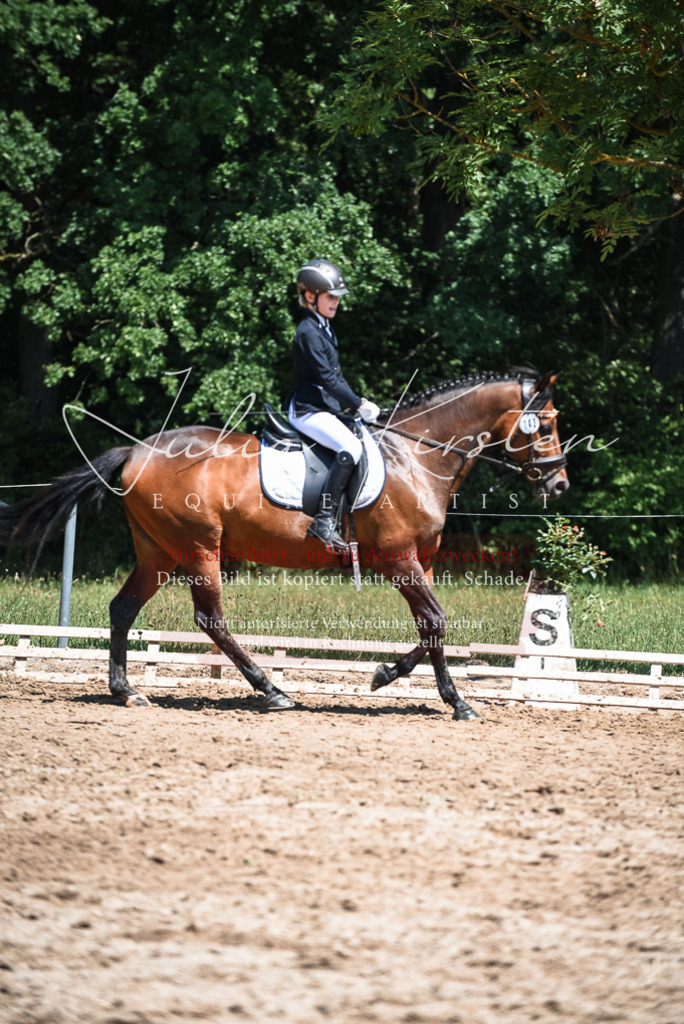 DSC_2873 | Pferde- und Turnierfotografie in Westsachsen. Pferdeportraits, Auftragszeichnungen und intuitive Kunst.