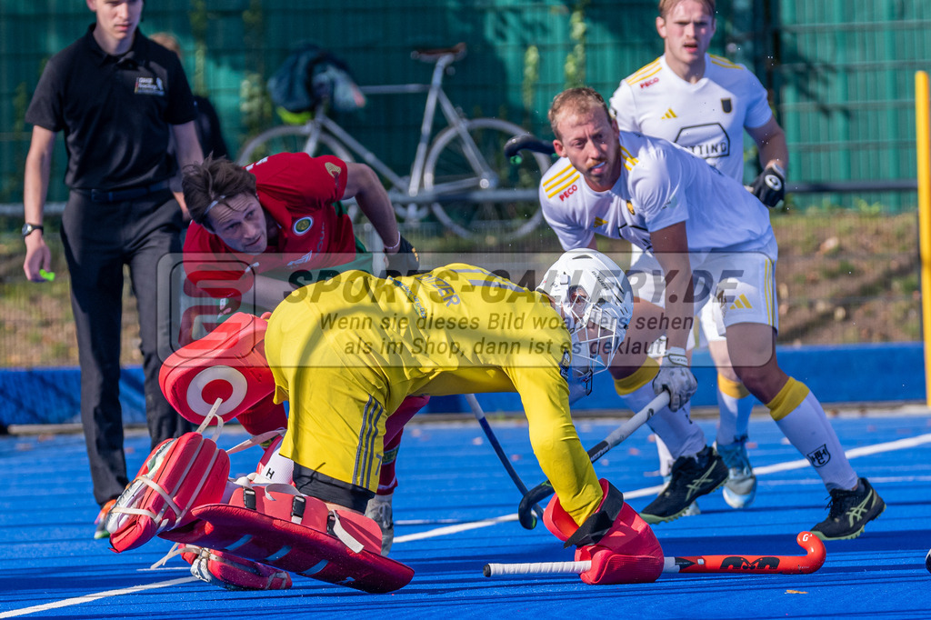 SM_20240929-D85_5224 | 1.Bundesliga Feldhockey (M) HPC - HTHC / 4:2 (1:2)
