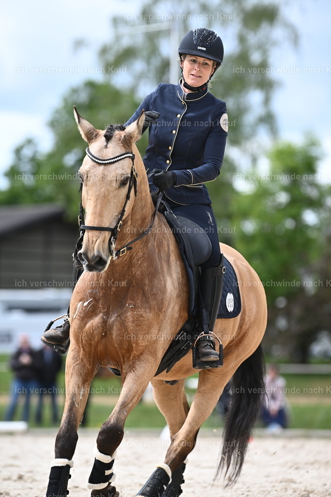 PI26_ST_Sara_Landvogt226_2522.JPG | working equitationturnier fotograf videograf stoibphotography marixx film working equitation deutschland reitsport turnierfotografie eventfotografie equestrian events