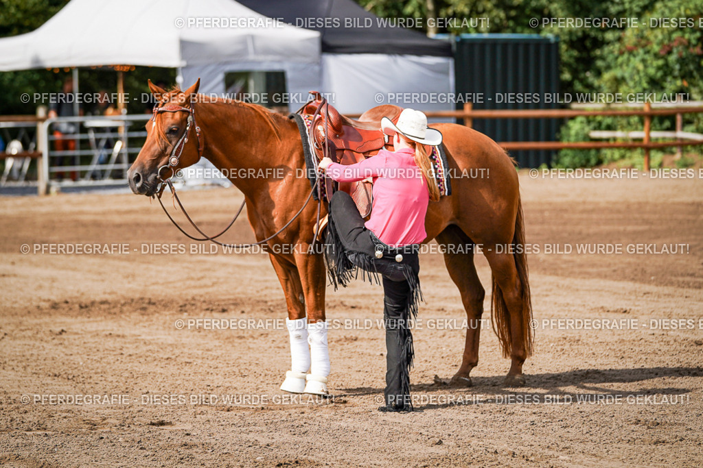 DSC09492 | Pferdegrafie