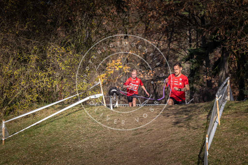 CaniXpix_0L8A8700 | Hundefotografie, Tierfotograf, Pfotenfotografie, Fotoshooting Hund, Hunde Portrait, Hundesport, Hundeportraits, Heideshooting, Hunde, Sportfotograf, Hundefotograf, Turnierhundsport, THS,  - Realisiert mit Pictrs.com