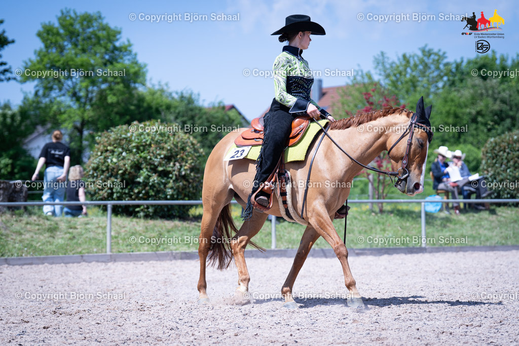 LMB07910 | BS-foto