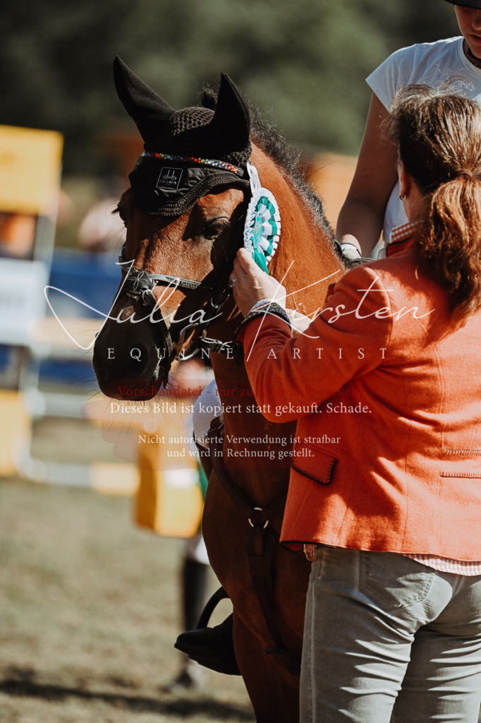 DSC_0119 | Pferde- und Turnierfotografie in Westsachsen. Pferdeportraits, Auftragszeichnungen und intuitive Kunst.