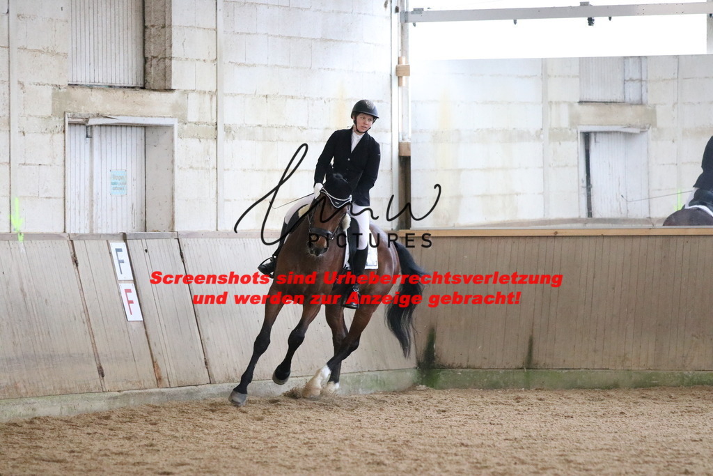 IMG_7348 | lmwpictures - Realisiert mit Pictrs.com