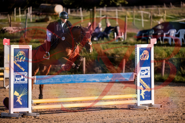 2026_10_03_Siefer-Hof_170922_Z81_06287767 | Professionelle Reitsport-, Turnier- und Eventfotografie von Robert Broda. Galerien mit ausgewählten und bearbeiteten Bildern direkt online ansehen und bestellen.