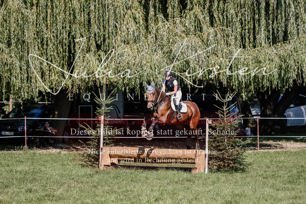 DSC_2707 | Pferde- und Turnierfotografie in Westsachsen. Pferdeportraits, Auftragszeichnungen und intuitive Kunst.