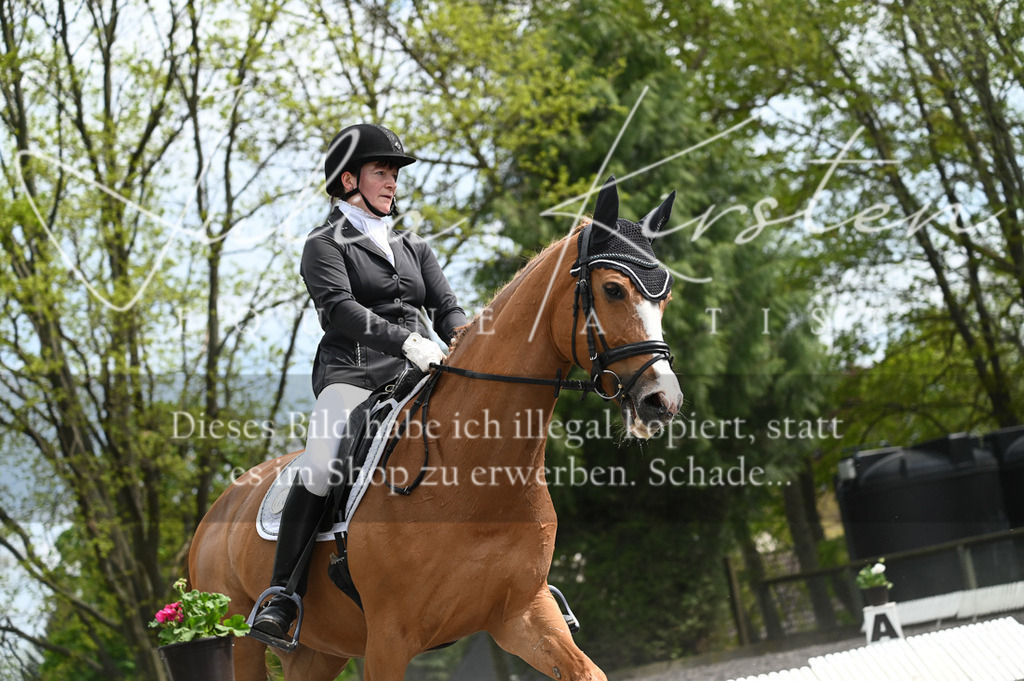 20230512_JK-Röhrsdorf-08-190 | Pferde- und Turnierfotografie in Westsachsen. Pferdeportraits, Auftragszeichnungen und intuitive Kunst.