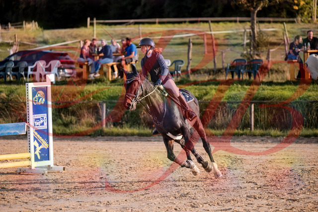 2026_10_03_Siefer-Hof_171535_Z81_12918430 | Professionelle Reitsport-, Turnier- und Eventfotografie von Robert Broda. Galerien mit ausgewählten und bearbeiteten Bildern direkt online ansehen und bestellen.