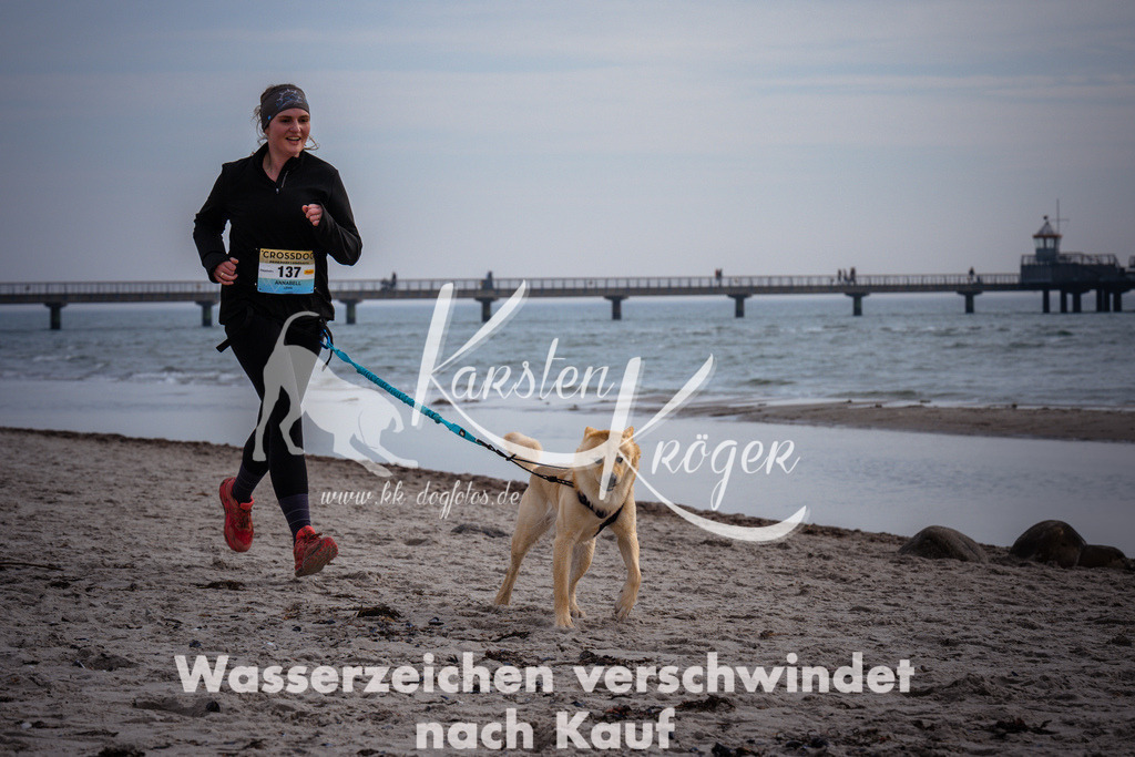 1056_ZZ96667 | kk-dogfotos