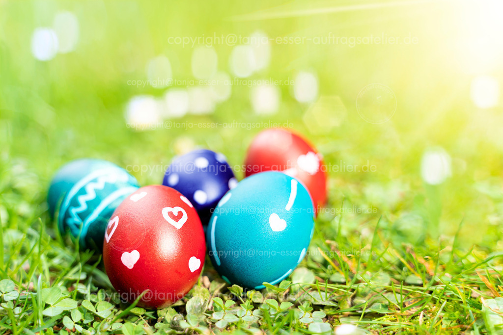 Ostereier im Garten D | Schöne bemalte echte Ostereier liegen im frischen Frühlingsgras. Die Sonne scheint. Rote und türkise Eier sind mit weißen Ornamenten verziert. 
