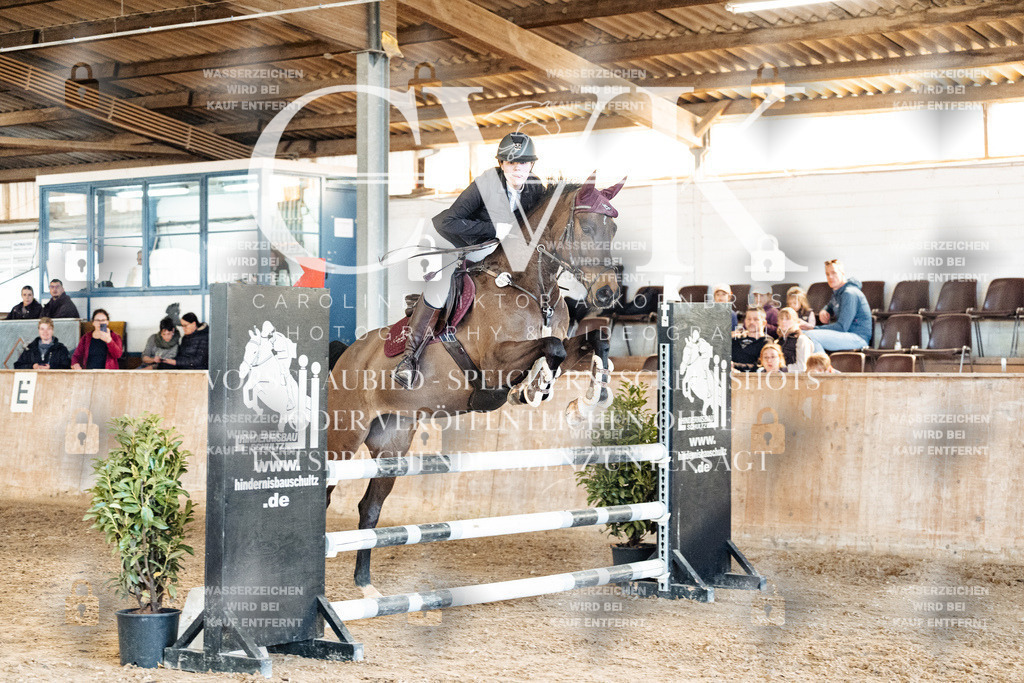 CK905124 | Turnierfotografie Pferdefotografie Trier Rheinland-Pfalz Pferdesport Reitsport Tierfotografie Sportfotografie Pferdevideo Pferdevideografie Equestrianvideography equestrianphotography  - Realisiert mit Pictrs.com