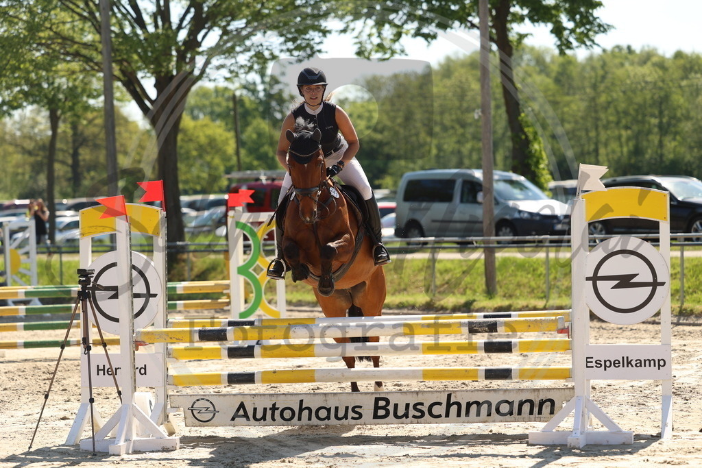 994A5646 | sabrinanicolaifotografie - Realisiert mit Pictrs.com