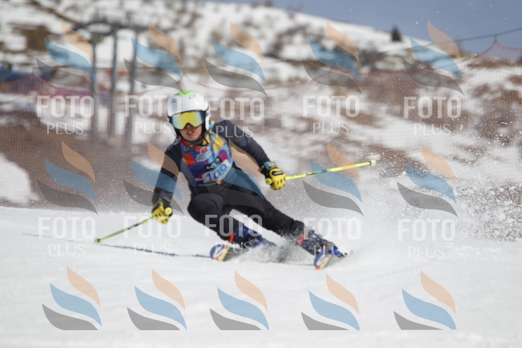 _U3G0474 | holidayphoto