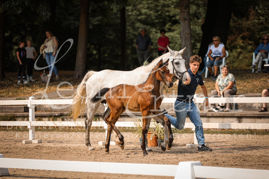 07.DoWBS00086 | Leoni Ertmer Photography - Realisiert mit Pictrs.com