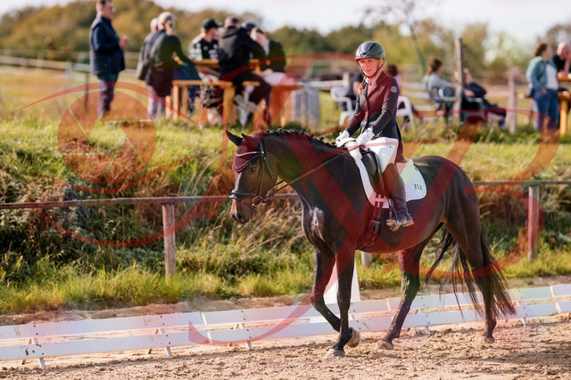 2026_10_03_Siefer-Hof_121237_Z81_13263467 | Professionelle Reitsport-, Turnier- und Eventfotografie von Robert Broda. Galerien mit ausgewählten und bearbeiteten Bildern direkt online ansehen und bestellen.