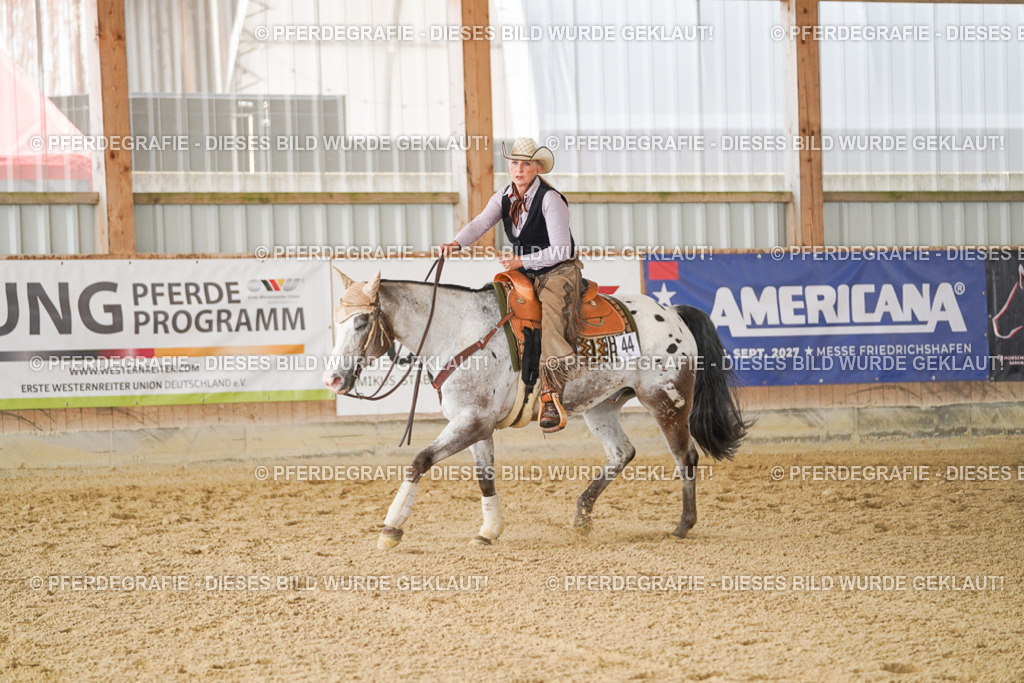 DSC01979 | Pferdegrafie