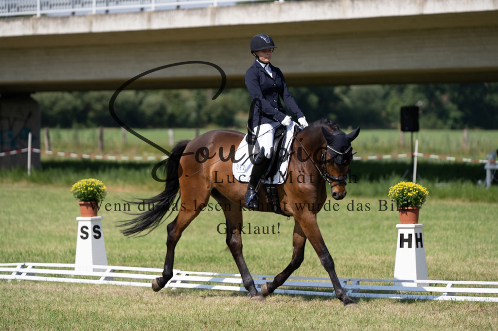 A7V09687 | Pferdefotograf