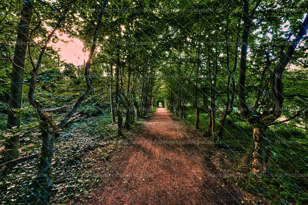 Leipzig Grünau – Weg im Schönauer Park (Sommer 2021) | Leipzig Grünau – Weg im Schönauer Park (Sommer 2021) - Realisiert mit Pictrs.com