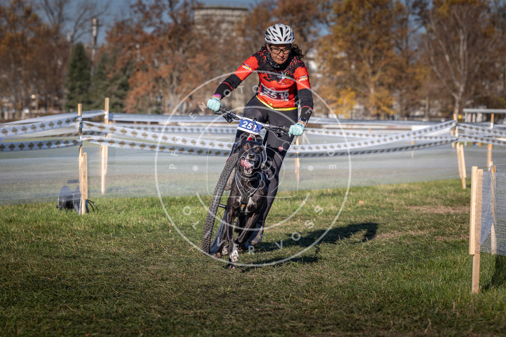 CaniXpix_0L8A4929 | Hundefotografie, Tierfotograf, Pfotenfotografie, Fotoshooting Hund, Hunde Portrait, Hundesport, Hundeportraits, Heideshooting, Hunde, Sportfotograf, Hundefotograf, Turnierhundsport, THS,  - Realisiert mit Pictrs.com