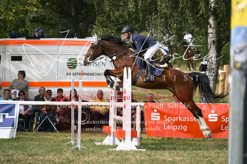 DSC_0767 | Pferde- und Turnierfotografie in Westsachsen. Pferdeportraits, Auftragszeichnungen und intuitive Kunst.