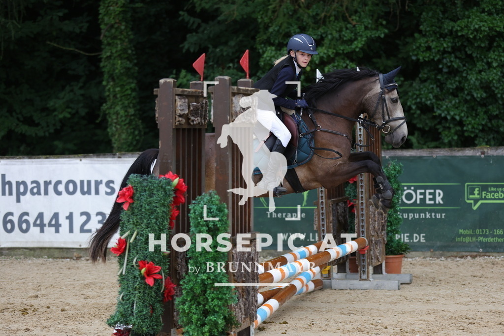 0P6A7097 | Willkommen bei Brunnmayr - Design & Fotografie – Ihrem Spezialisten für Reitturniere und Pferdeveranstaltungen in Oberösterreich, Salzburg und Bayern! Seit über 17 Jahren sind wir leidenschaftlich dabei.