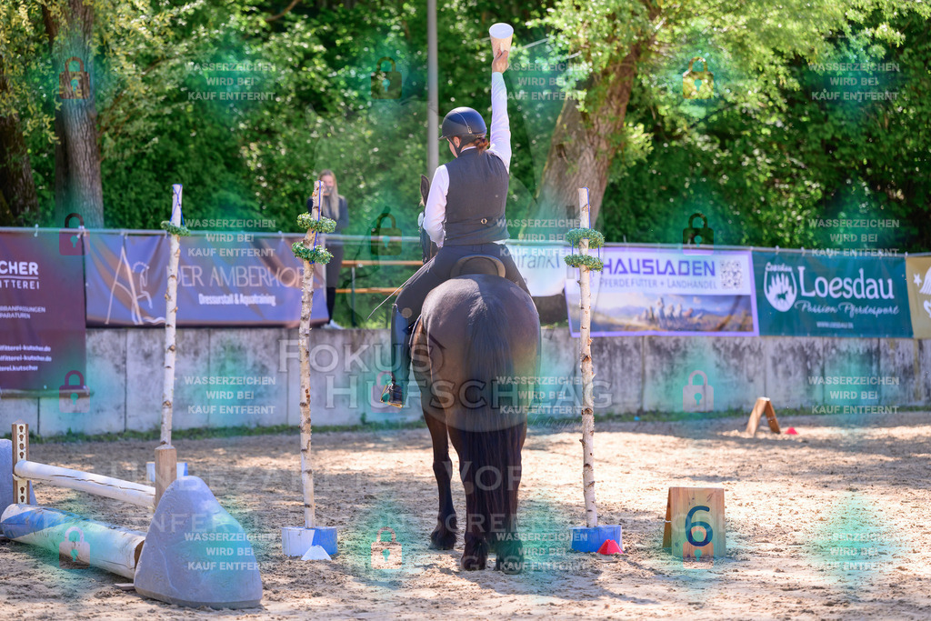 02052026-Giesenbach-01-Stiltrail-0039 | Fokus Hufschlag Fotografie - Realisiert mit Pictrs.com