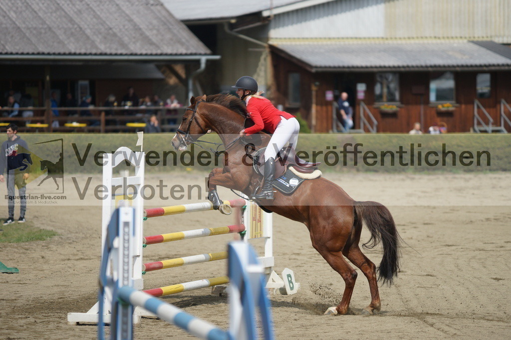 DSC01445 | equestrian-live-com