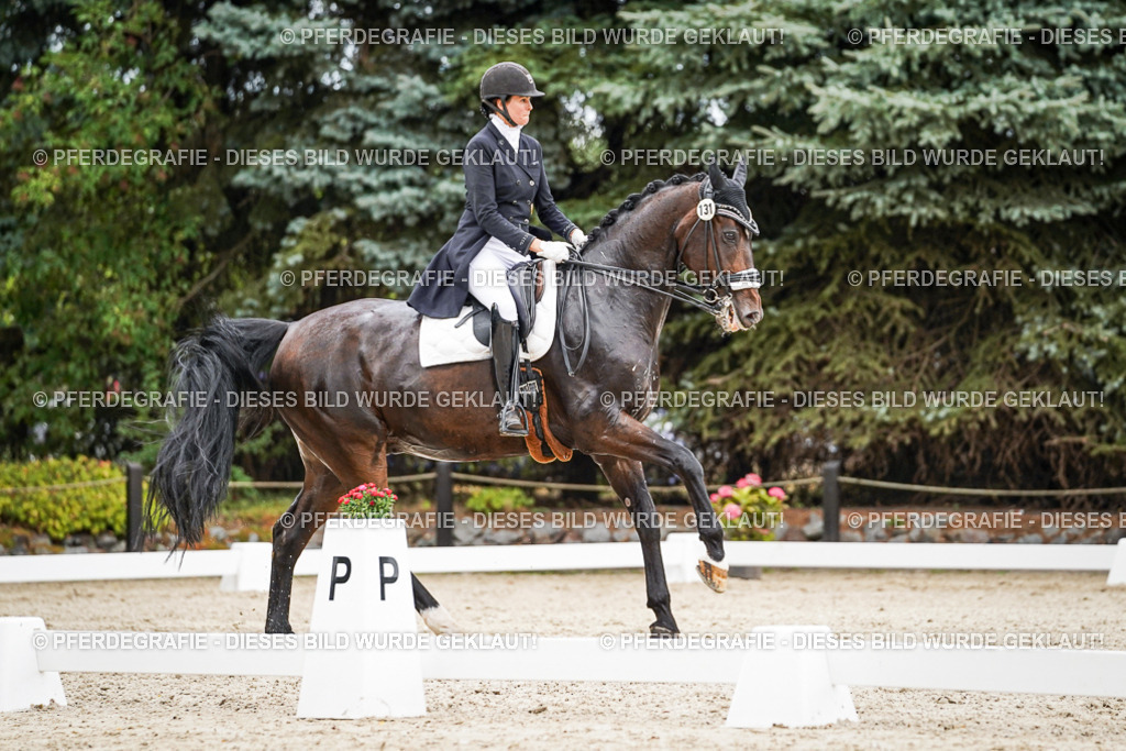 DSC06810 | Pferdegrafie