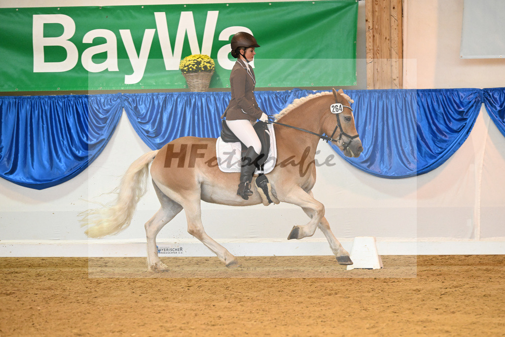 Kat-Nr. 264 Eloisa_Wolf_54222056 | hf-fotografie - Realisiert mit Pictrs.com