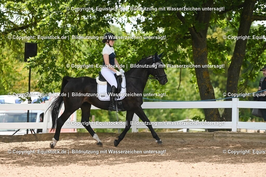 20230715_09_Dressur-WB_0212 | equistock