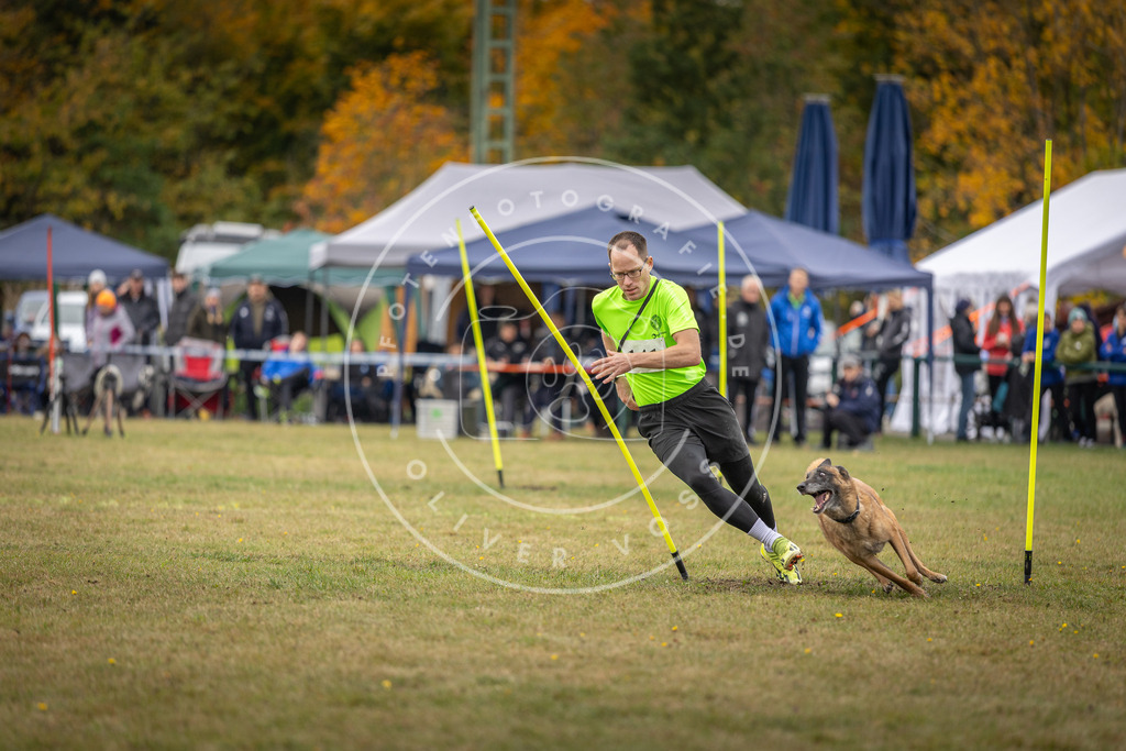 Pfotenfotografie_DV3A8114 | Hundefotografie, Tierfotograf, Pfotenfotografie, Fotoshooting Hund, Hunde Portrait, Hundesport, Hundeportraits, Heideshooting, Hunde, Sportfotograf, Hundefotograf, Turnierhundsport, THS,  - Realisiert mit Pictrs.com