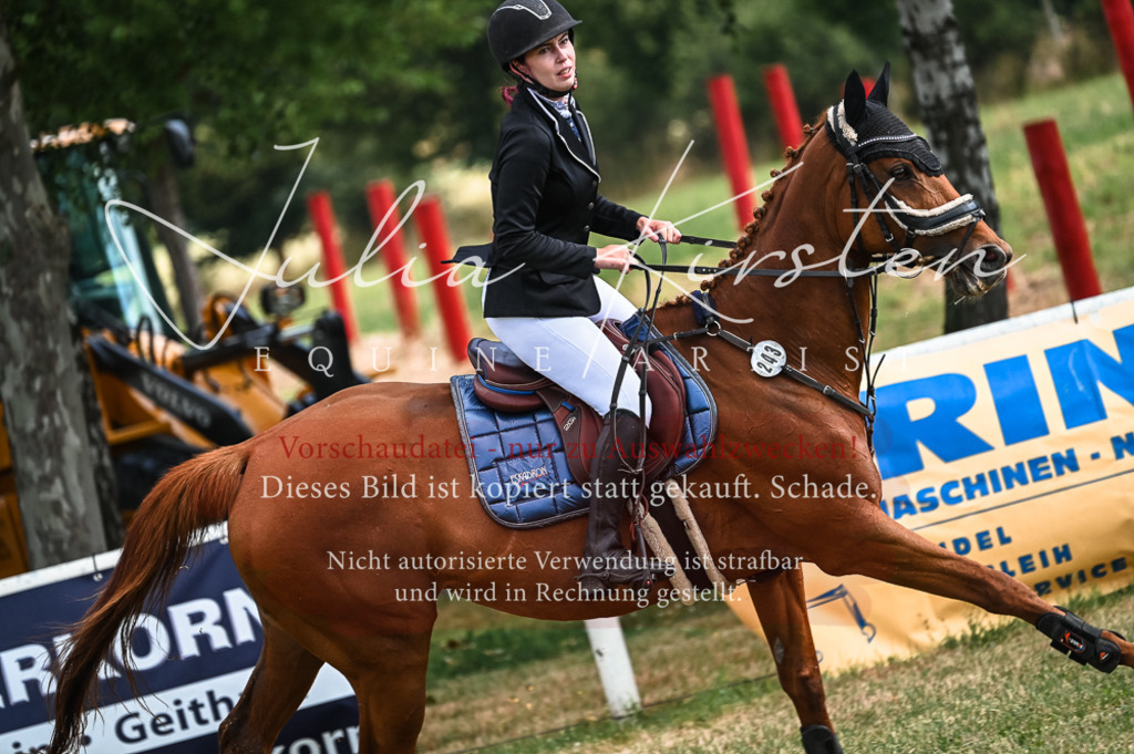 DSC_7844 | Pferde- und Turnierfotografie in Westsachsen. Pferdeportraits, Auftragszeichnungen und intuitive Kunst.