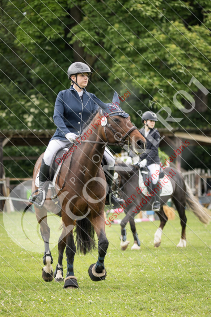 IMG_2471 | Sport-, Event- und Tierfotos in Profiqualität. Einfach auswählen, bestellen und herunterladen. Dein Moment – perfekt festgehalten.