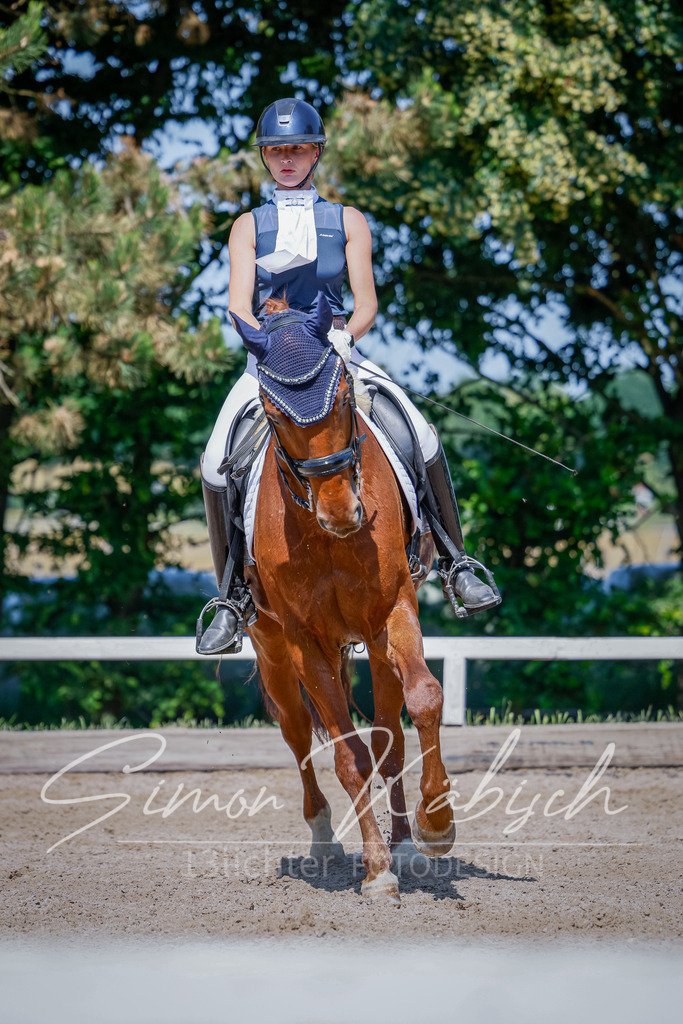 20250621-_3LI9636 | Tierfotografie Pferde, Hunde, Katzen, Haustiere.
Turnierfotografie Reitturniere, Reiten, Springreiten, Dressur in Hanau, dem Main-Kinzig-Kreis und dem Rhein-Main- Gebiet um Frankfurt