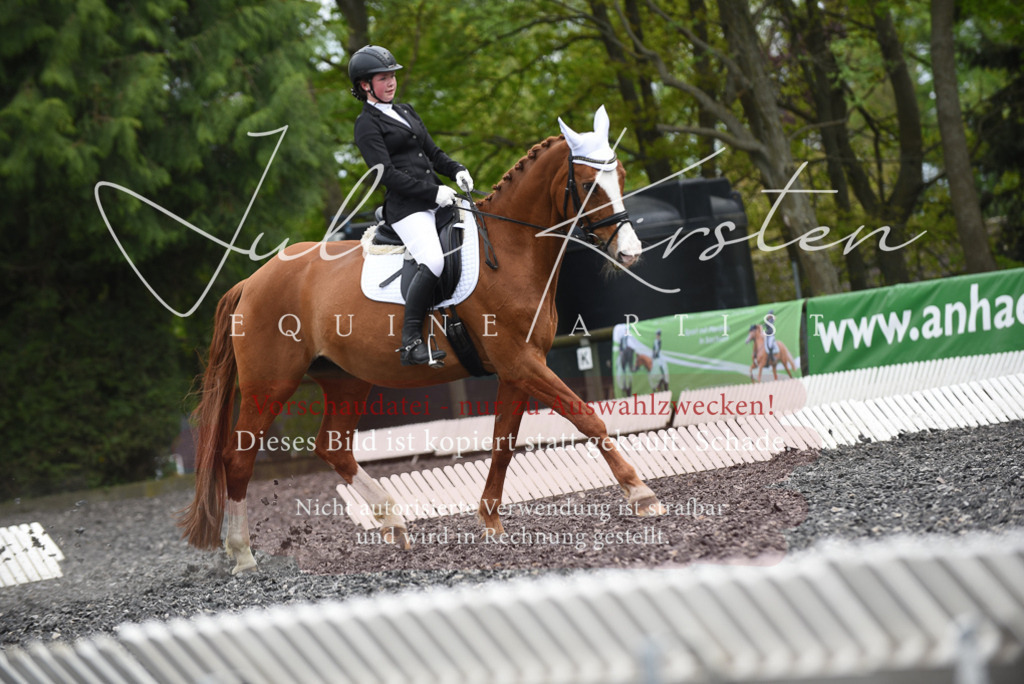 20230513_JK-Röhrsdorf-16-150 | Pferde- und Turnierfotografie in Westsachsen. Pferdeportraits, Auftragszeichnungen und intuitive Kunst.