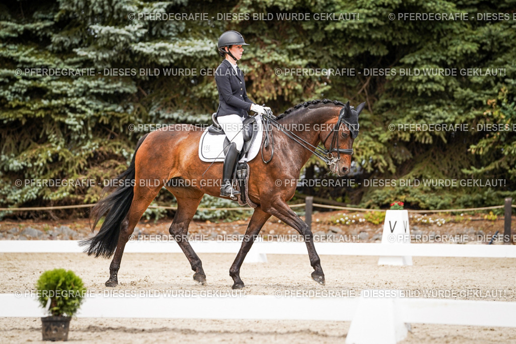 DSC05887 | Pferdegrafie